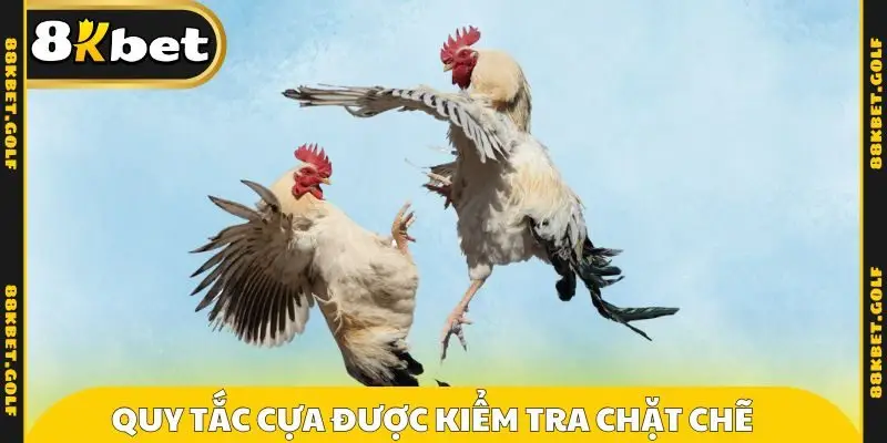 Quy tắc cựa được kiểm tra chặt chẽ